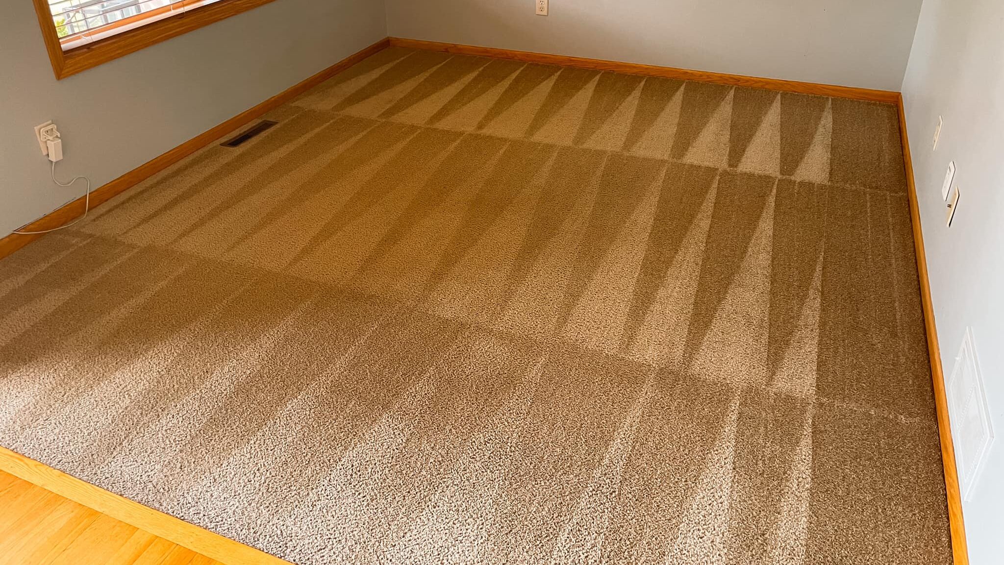 CARPET CLEANING